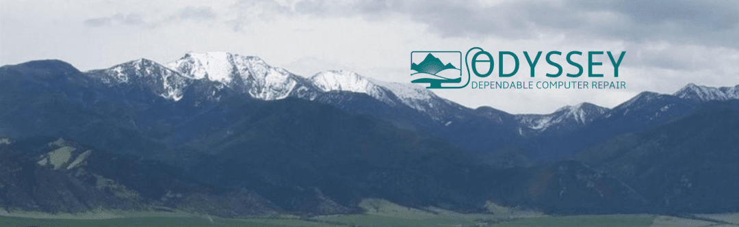 Computer Services in Montana