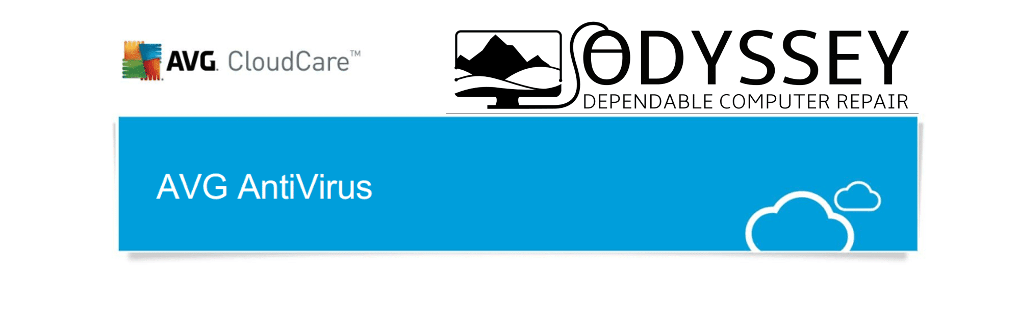 Computer Services in Montana